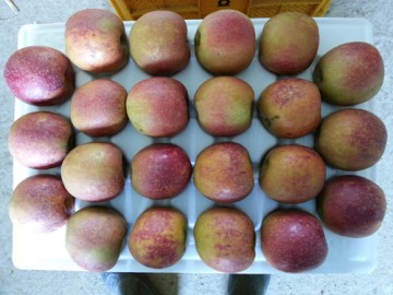 이미지 상세보기 이미지 상세보기